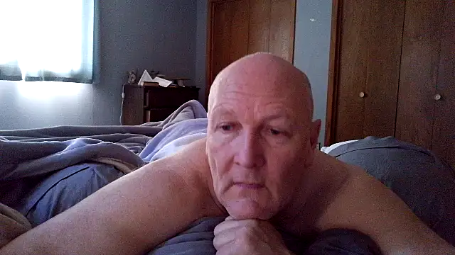 BasicAnt online show from February 19, 2:46 pm