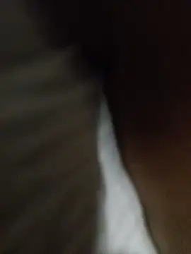 Taniyakuma online show from December 24, 3:16 pm