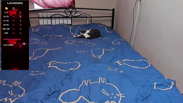 eva zero online show from November 3, 11:33 am