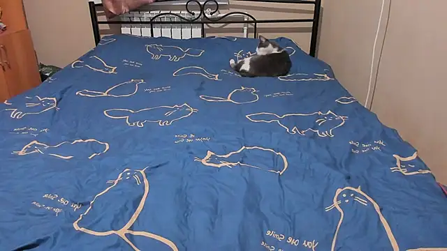 eva zero online show from December 17, 3:07 pm