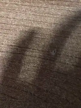 gokhanbey34 online show from December 21, 12:40 am