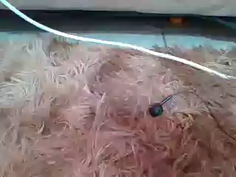 Snapshot of sexyjanett chatting on March 11, 9:13 am sexyjanett online show from March 11, 9:13 am