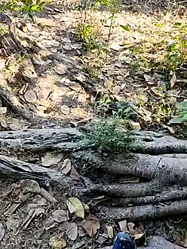 Snapshot of Rinku5553 chatting on February 2, 7:20 am Rinku5553 online show from February 2, 7:20 am