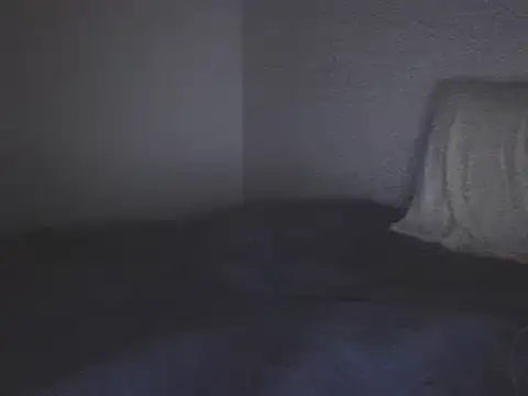 fireearthwaterair online show from February 3, 4:10 pm