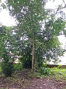 Snapshot of Yuky_ta chatting on February 23, 5:50 pm Yuky ta online show from February 23, 5:50 pm