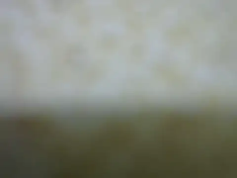 Snapshot of castistee chatting on October 26, 10:36 pm castistee online show from October 26, 10:36 pm