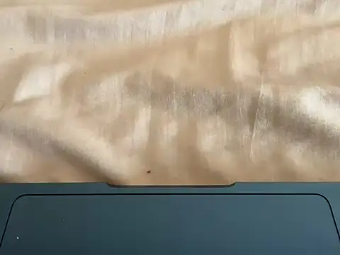 Snapshot of rohitsen222 chatting on January 10, 8:38 am rohitsen222 online show from January 10, 8:38 am