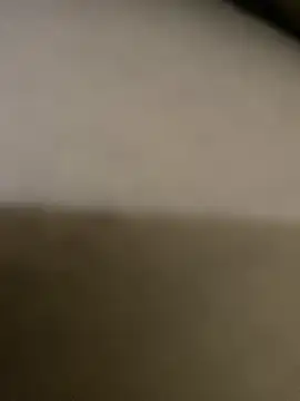 stuard-19 online show from December 4, 5:28 am