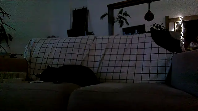 iamsex6969 online show from April 15, 3:57 am