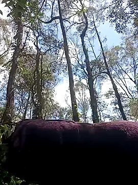 strollnrg069 online show from December 5, 2:31 am