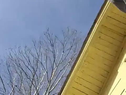 highstepper500 online show from December 26, 5:15 am