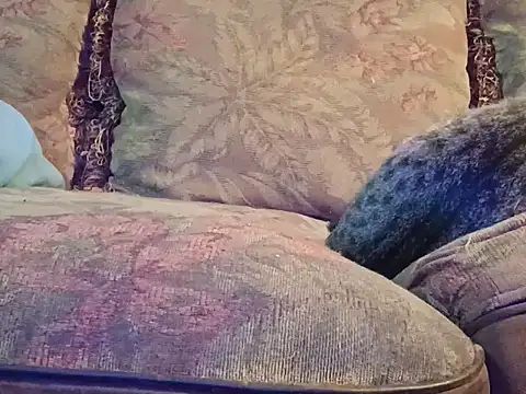 highstepper500 online show from December 2, 7:47 am