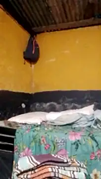 LULE37587001 online show from March 2, 8:37 pm