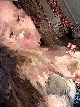 Var Kiss online show from April 21, 5:14 am