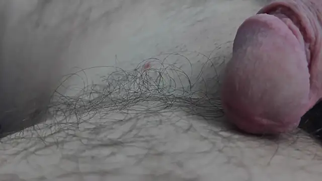 Snapshot of Fist-my-ass chatting on November 24, 8:03 am Fist-my-ass online show from November 24, 8:03 am