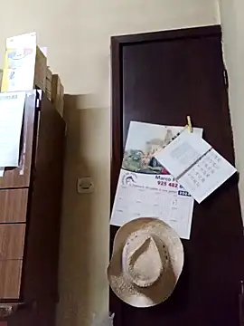 Snapshot of White_rabbit_ chatting on January 3, 9:47 pm White rabbit  online show from January 3, 9:47 pm