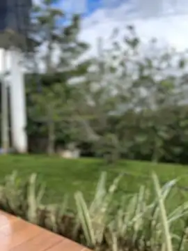 sahorix1 online show from February 16, 3:30 pm