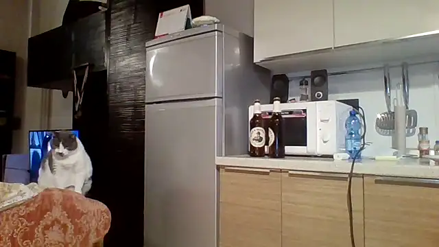 Snapshot of woww791 chatting on October 7, 5:43 pm woww791 online show from October 7, 5:43 pm