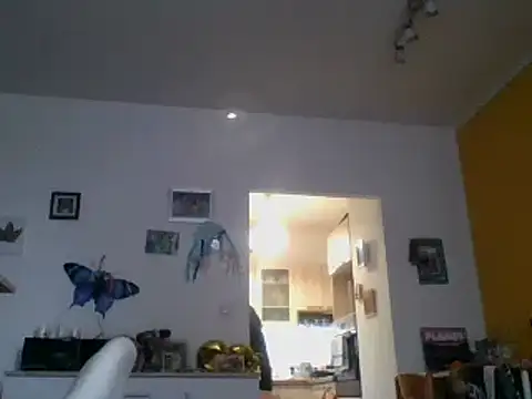 82liska online show from November 9, 11:19 am