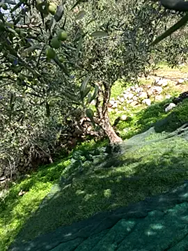 Snapshot of VictoriaMiami chatting on November 15, 8:44 am VictoriaMiami online show from November 15, 8:44 am