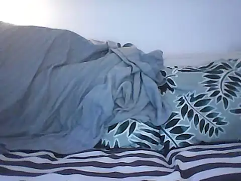 Snapshot of Malcomvs97 chatting on January 28, 8:04 am Malcomvs97 online show from January 28, 8:04 am