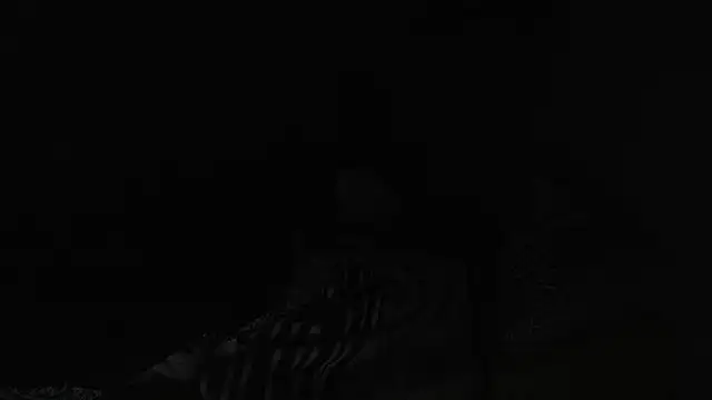 Snapshot of BELINDAXXXXX chatting on December 13, 8:04 pm BELINDAXXXXX online show from December 13, 8:04 pm