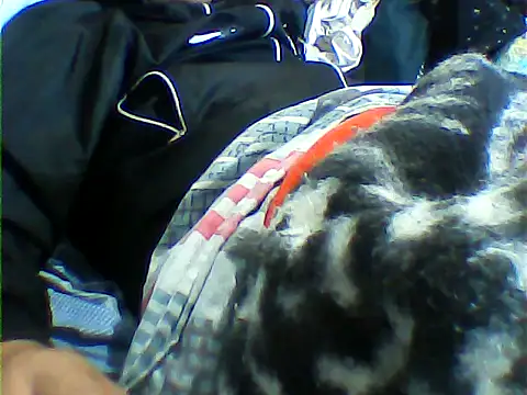 messi syssy online show from September 25, 8:34 pm