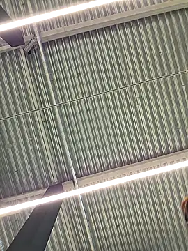 LeticiaWoods online show from October 19, 12:28 pm