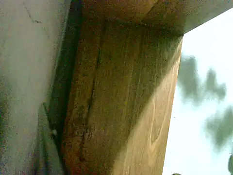 2ocmaxi online show from March 8, 2:04 am