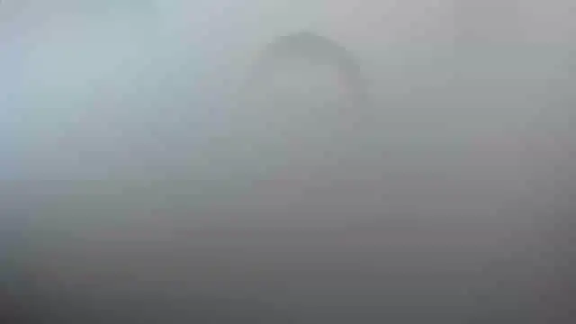 Snapshot of smile_sweetpao chatting on February 23, 10:31 pm smile sweetpao online show from February 23, 10:31 pm