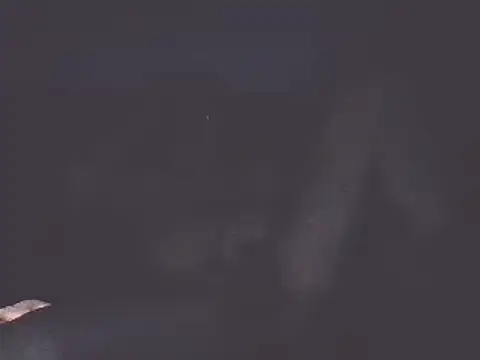 cumloverboyxx69 online show from January 18, 7:15 pm