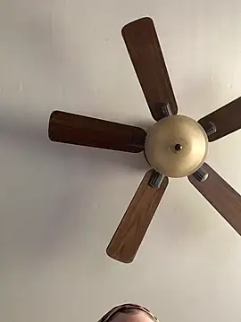 QueenNuttCollector online show from April 12, 6:13 pm