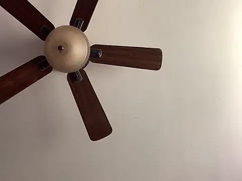 QueenNuttCollector online show from April 29, 4:55 pm