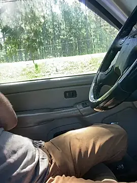 Themechanic420 online show from June 10, 3:00 pm