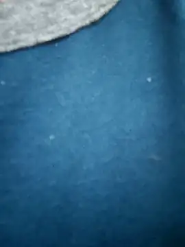 Bangalorebull online show from October 17, 3:20 am