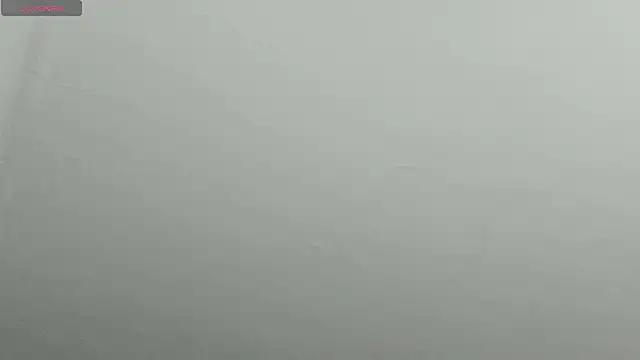 natasha logan  online show from February 9, 4:25 am