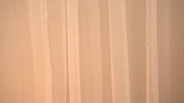 Poni DII online show from January 14, 10:10 am