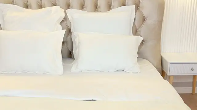 LilyRaisa online show from March 15, 4:57 am