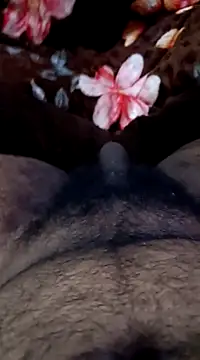 Naughtyforpussy online show from February 1, 11:27 pm