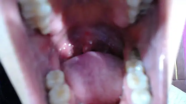 Snapshot of Chanel-24 chatting on January 3, 5:17 am Chanel-24 online show from January 3, 5:17 am