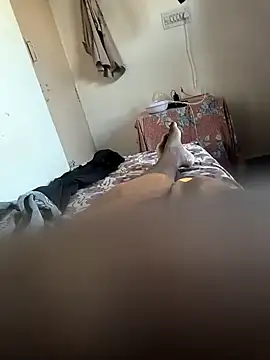 Snapshot of Mallupaiyanaachu chatting on February 5, 2:08 am Mallupaiyanaachu online show from February 5, 2:08 am