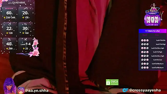 Snapshot of CrossyAayesha chatting on November 25, 4:40 pm CrossyAayesha online show from November 25, 4:40 pm