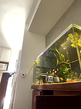 Ravixx online show from January 11, 2:11 pm