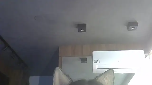 Skinny-Kitten online show from December 1, 9:47 am