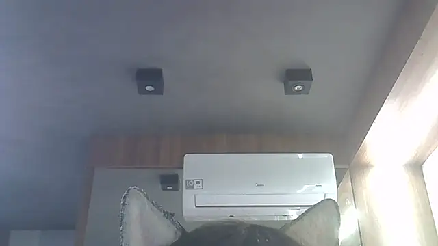 Skinny-Kitten online show from January 16, 4:05 am