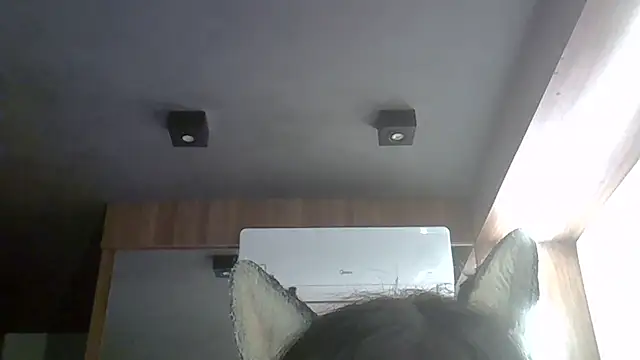 Skinny-Kitten online show from March 17, 12:15 am