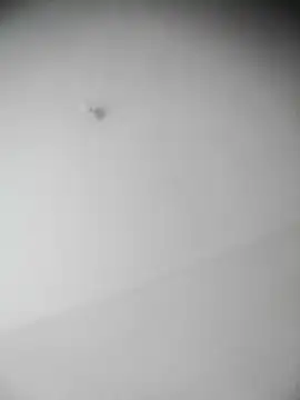 Snapshot of bestofyalcinturkey chatting on December 3, 12:49 pm bestofyalcinturkey online show from December 3, 12:49 pm