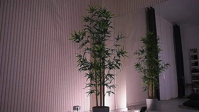 Snapshot of Abbela_White chatting on January 23, 9:39 am Abbela White online show from January 23, 9:39 am