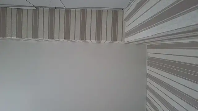 lily  foster online show from September 22, 5:42 am