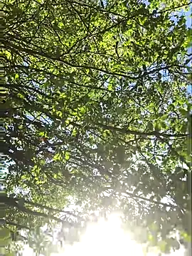 hottottrot691 online show from September 28, 9:09 pm